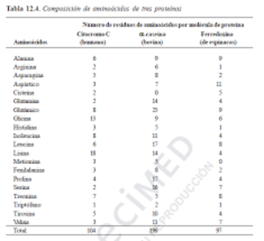 Orden de aminoácidos