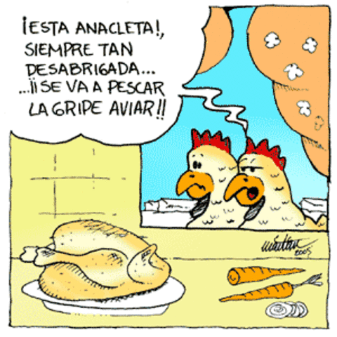 Fallece la primera víctima de la gripe aviar en Turquía