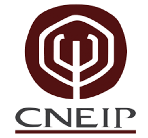 CNEIP propone desarrollar planes de estudio o modelos curriculares homogéneos y con objetivos de formación profesional