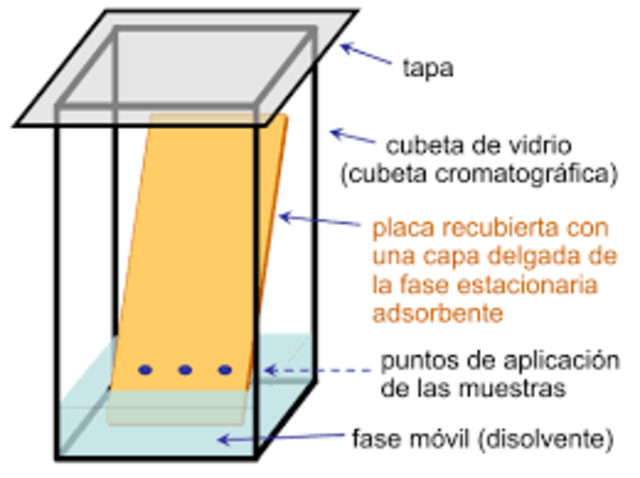 Tecnica de cromatografia