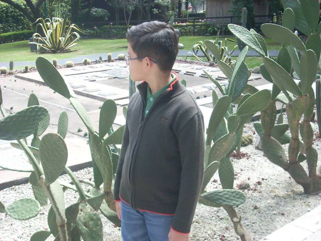 Mi primer ida a un Museo