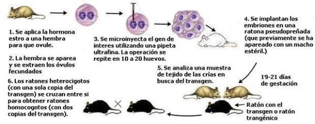 CIENTÍFICOS "NO ESPECIFICAN CUALES "
