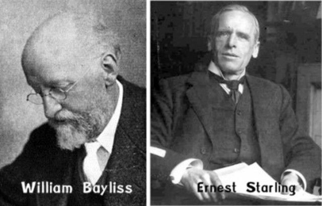 William H Bayliss y Ernest H Starling
