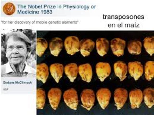 Bárbara Mc Clintock (1902-1992)