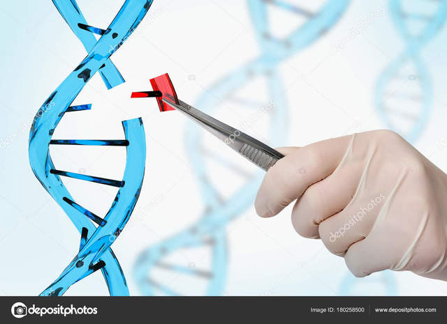 Mario Capecchi (6 de octubre de 1937)