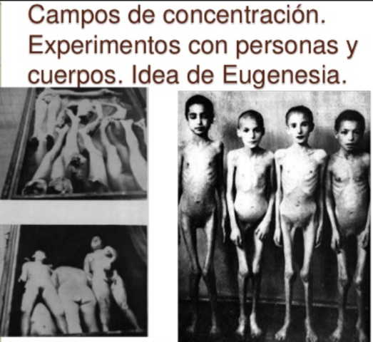 EXPERIMENTOS MÉDICOS EN EL HOLOCAUSTO