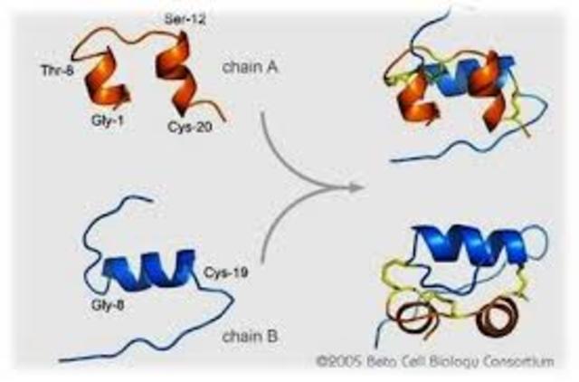 Frederick Sanger (13 de agosto de 1918- 19 de noviembre de 2013)