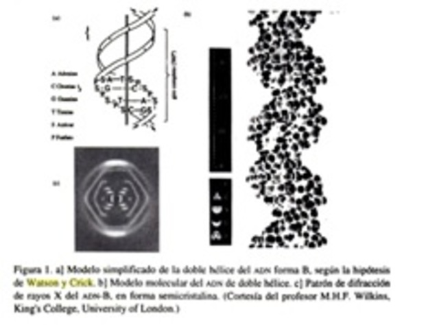 James Watson y francis Crick