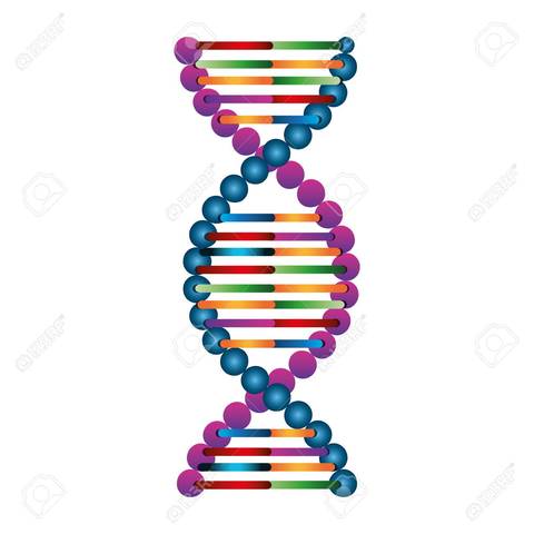 James Watson y Francis Crick descubren la estructura del ADN