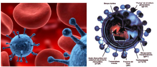Francoise Barre y Luc Montagnier