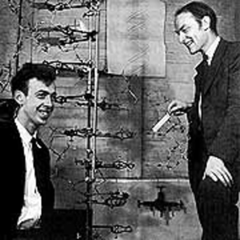 JAMES DEWEY WATSON Y FRANCIS CRICK