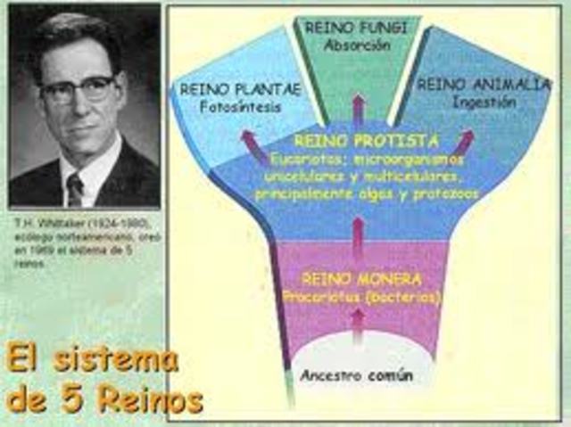 Robert Harding Whittaker