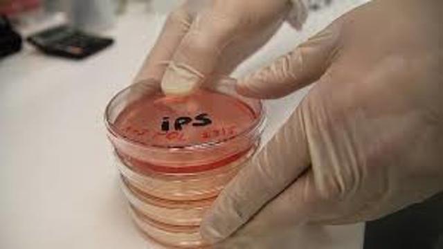 Reprogramacion de células Adultas