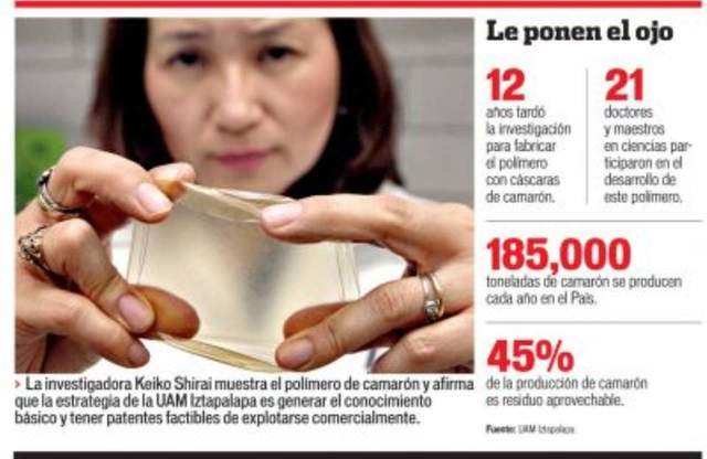 KKEIKO SHARAI MATSUMUTO