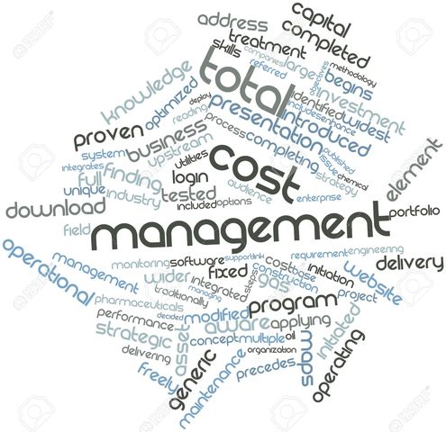 La AACE International lanza el Marco de Gestión de Costo Total (Total Cost Management Framework).