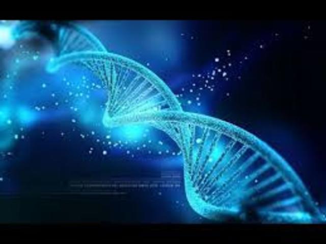 Origin/Formation of Life