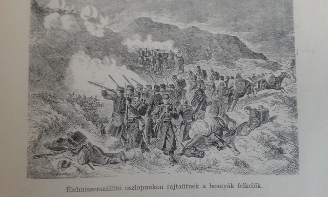 Bosznia-Hercegovina Annektálása