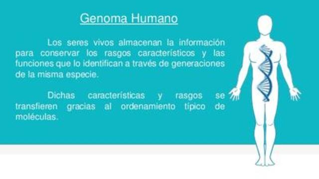 Genoma humano