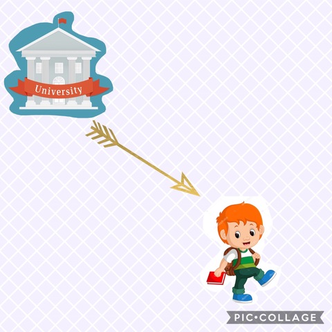 Dropped out of his university.