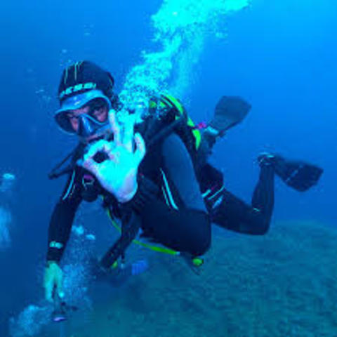 Reglamento para la prestaciòn del servicio turístico de buceo.