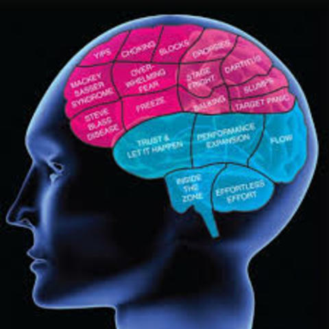 Formación de Psicología Clínica