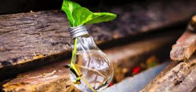 Consumo y producción sostenibles