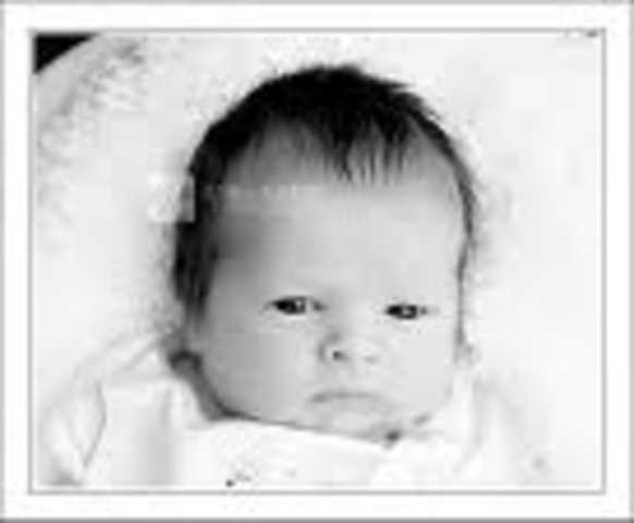 William Shakespeare's born