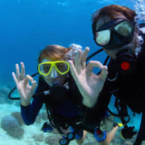 Servicio turístico de buceo