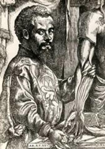 Andrés Vesalio (1514-1564)