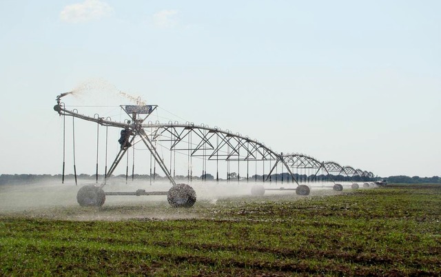 Problemática del consumo