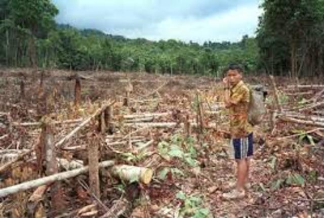 Problemas ambientales