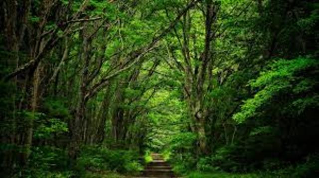 Pueblo griego dirigía su atención hacia la naturaleza