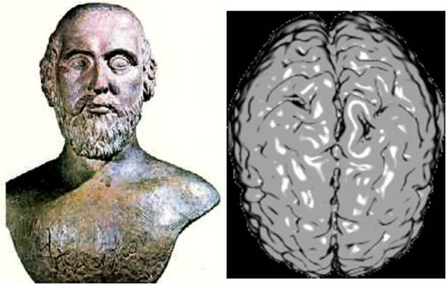 Alcmeón de Crotona (500 a.c)