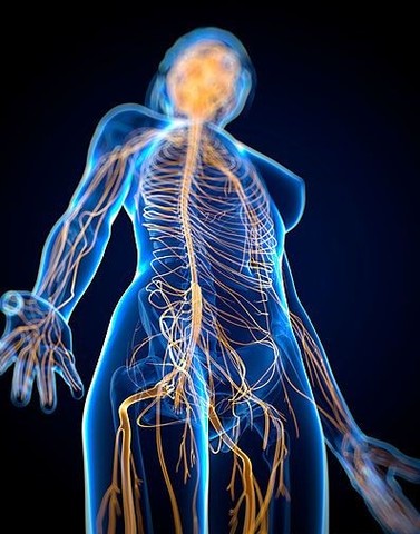 Santiago Ramon Cajal