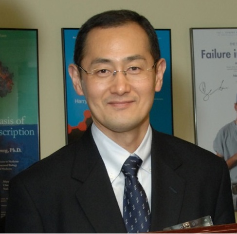SHINYA YAMANAKA