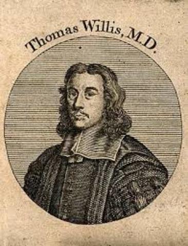 Thomas Willis