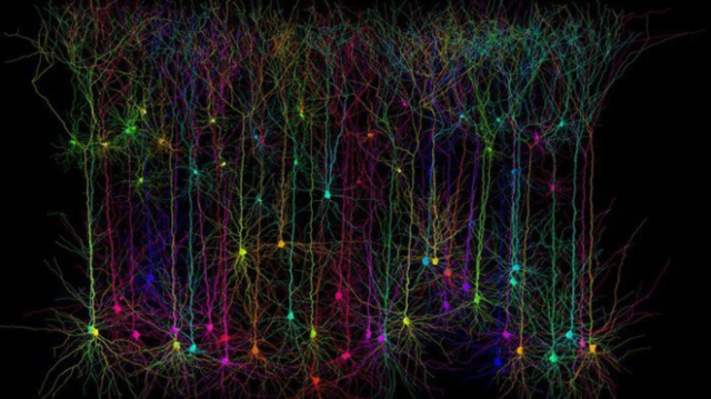 MÜLLER, BROCA, KARL DEITERS, HUGHLINGS, GOLGI.