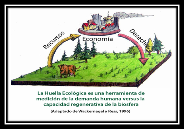 CRECIMIENTO ECONÓMICO Y CIENTÍFICO