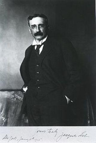 Jacques Loeb 1902