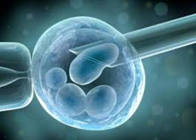 Primera fecundación animal in vitro