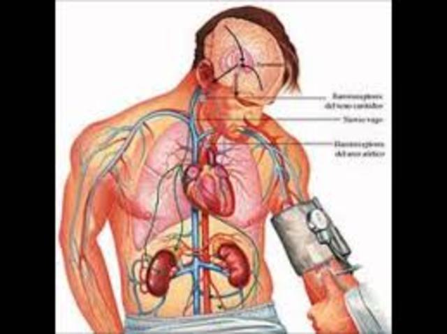 Muertes por enfermedad