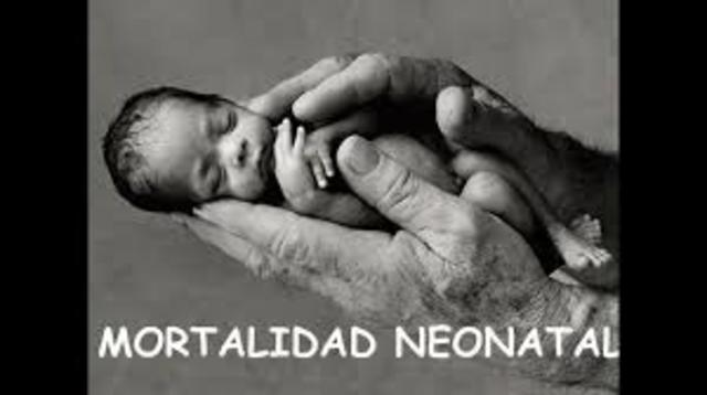 Muerte Neonatal