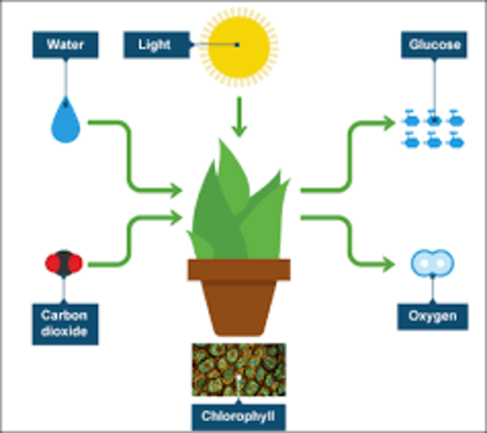 Termoquímica (química del calor).
