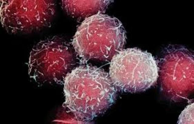 Grabar los sueños (2014)