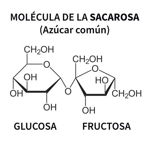 Glucosa