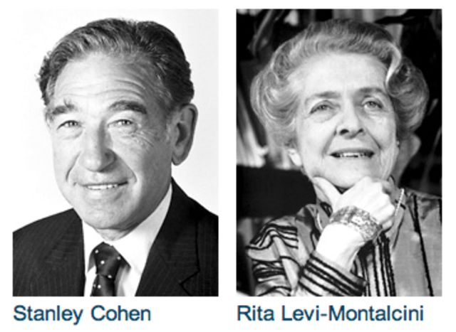 Rita Levi-Montalcini y Stanley Cohen
