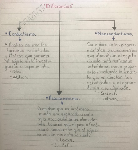 DIFERENCIAS DE LAS ETAPAS DEL APRENDIZAJE
