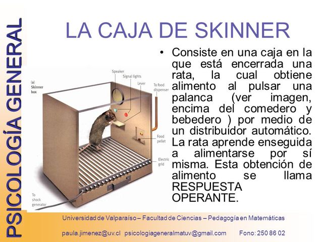 El Condicionamiento Operante - (Caja Negra de Skinner)