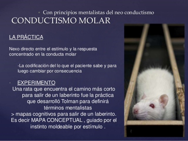 La conducta intencional de Tolman