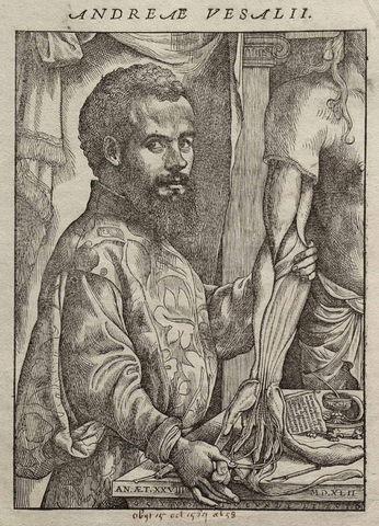 Andrés Vesalio (Andries van Wesel)